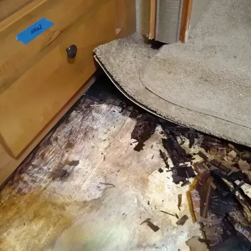 Best Wood Floor Water Damage Service in Doral, FL